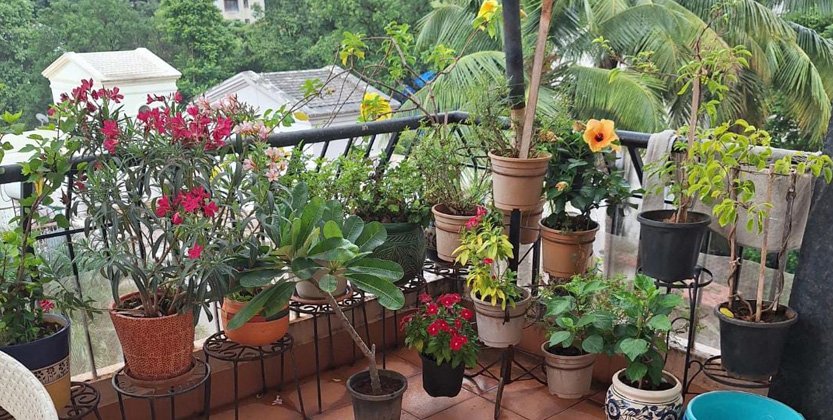 Balcony Setup