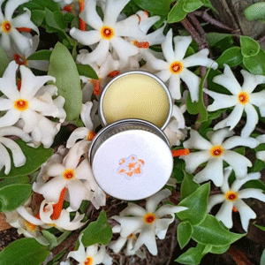 Parijat (Night Jasmine)